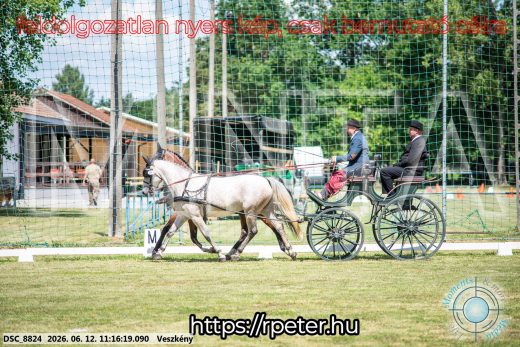 Mintakép 20260612-690