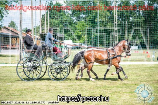 Mintakép 20260612-692