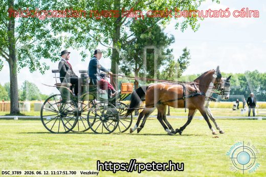 Mintakép 20260612-698