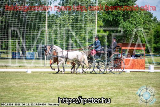 Mintakép 20260612-699