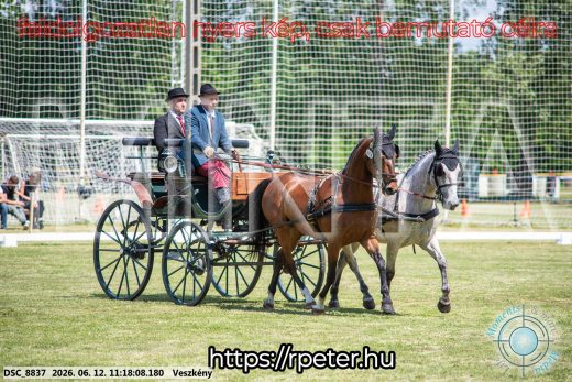 Mintakép 20260612-700
