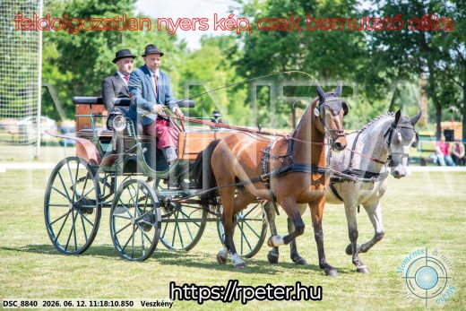 Mintakép 20260612-702