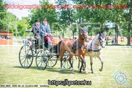 Mintakép 20260612-703