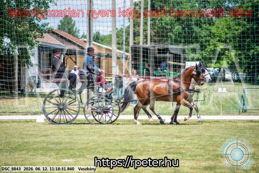 Mintakép 20260612-704