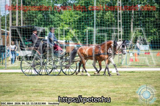 Mintakép 20260612-705
