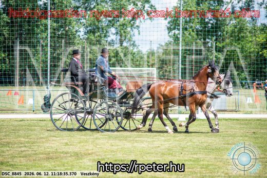 Mintakép 20260612-706