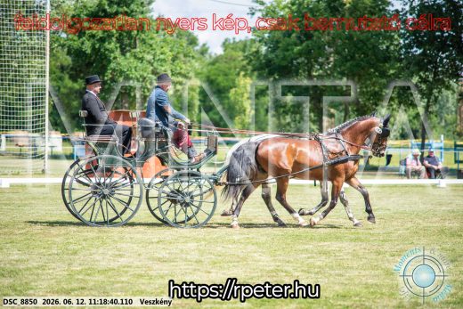 Mintakép 20260612-710