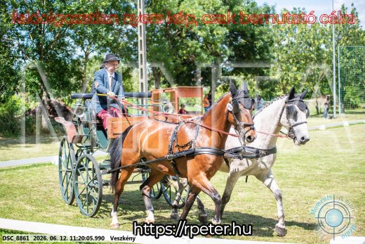 Mintakép 20260612-713