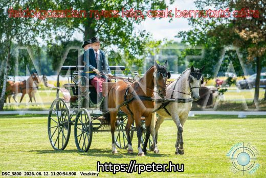 Mintakép 20260612-714