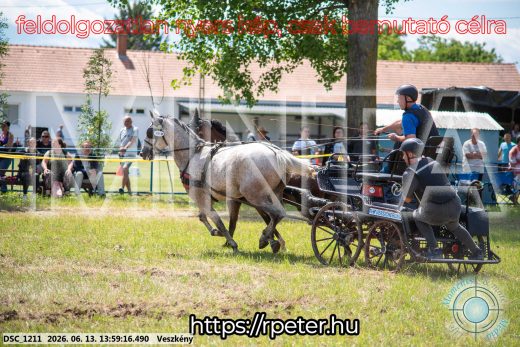 Mintakép 20260613-1310