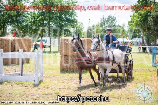Mintakép 20260613-1314