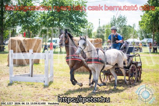 Mintakép 20260613-1315