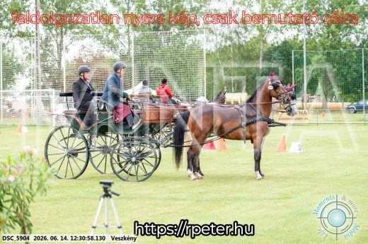 Mintakép 20260614-545