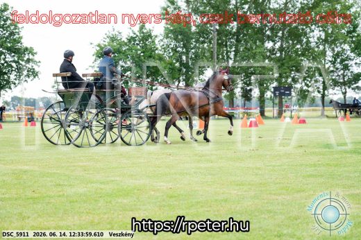 Mintakép 20260614-550