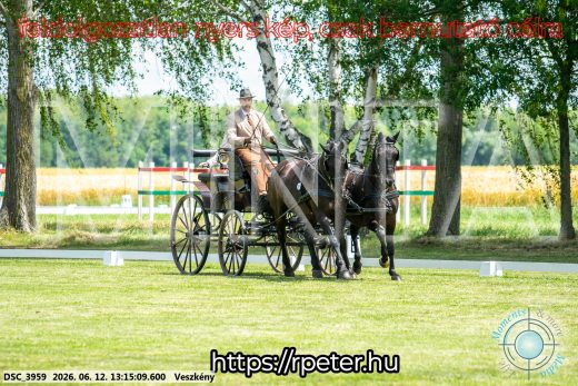 20260612-131509-DSC_3959.jpg