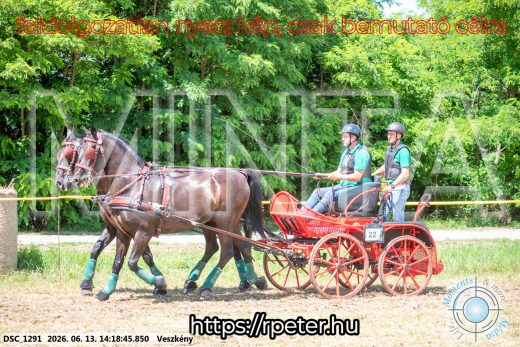 Mintakép 20260613-1321