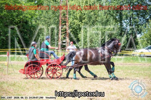 Mintakép 20260613-1323