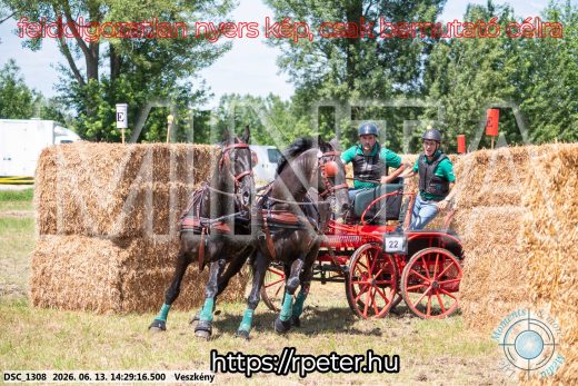 Mintakép 20260613-1324