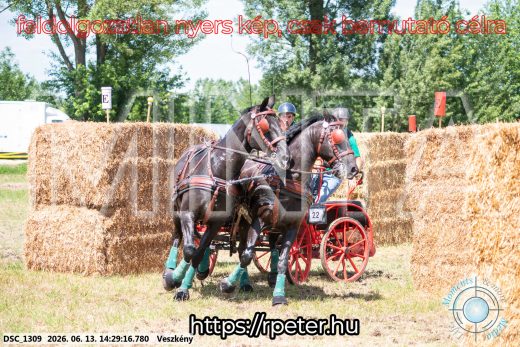 Mintakép 20260613-1325