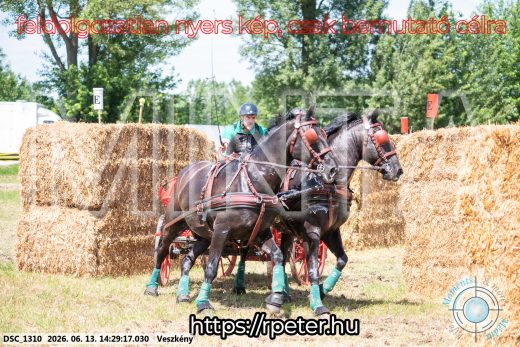 Mintakép 20260613-1326