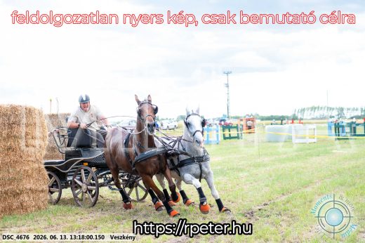 Mintakép 20260613-72