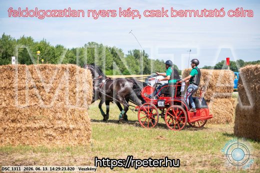 Mintakép 20260613-1327