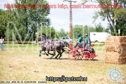 Mintakép 20260613-1328