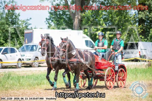 Mintakép 20260613-1330
