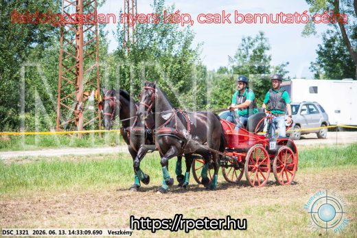 Mintakép 20260613-1331