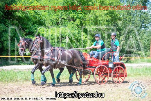 Mintakép 20260613-1333