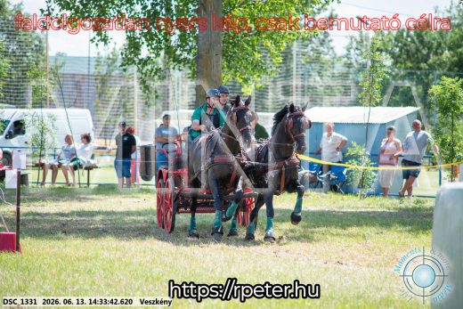 Mintakép 20260613-1336