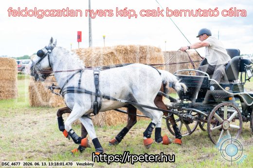Mintakép 20260613-73