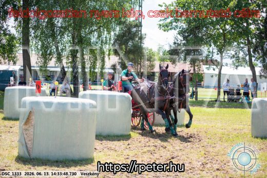 Mintakép 20260613-1338