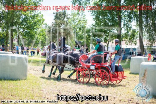 Mintakép 20260613-1341