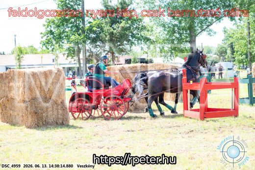 Mintakép 20260613-1346