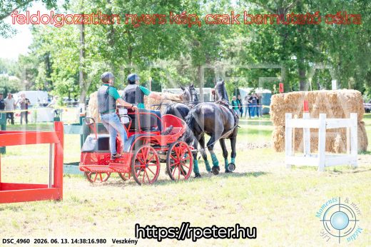 Mintakép 20260613-1347