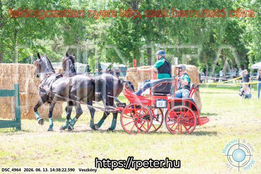 Mintakép 20260613-1351