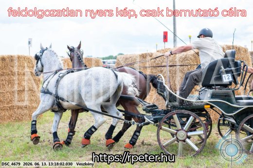 Mintakép 20260613-75