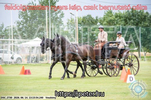 Mintakép 20260614-555
