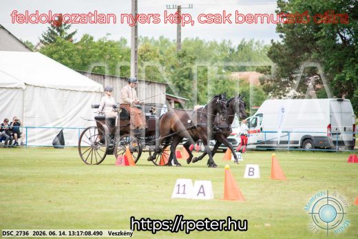 Mintakép 20260614-558