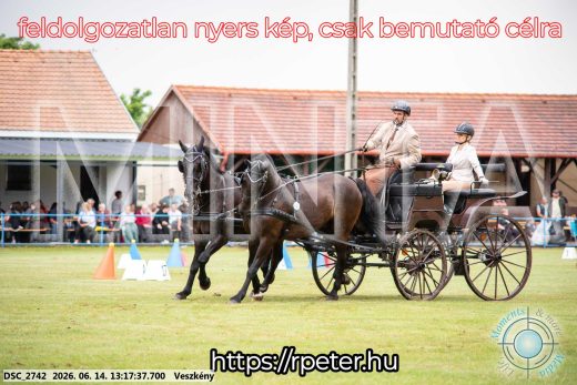 Mintakép 20260614-560