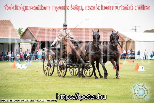 Mintakép 20260614-561
