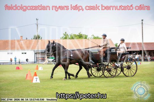 Mintakép 20260614-562
