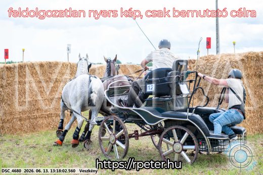 Mintakép 20260613-76