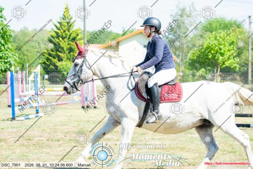 Mintakép 20260801-520