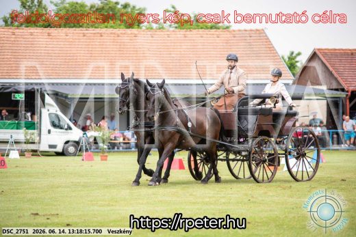 Mintakép 20260614-568