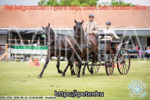 Mintakép 20260614-569
