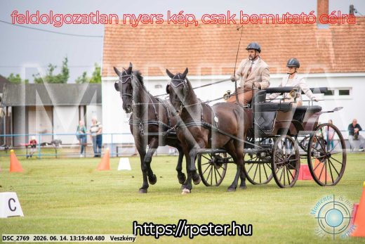 Mintakép 20260614-582