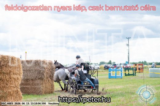Mintakép 20260613-78