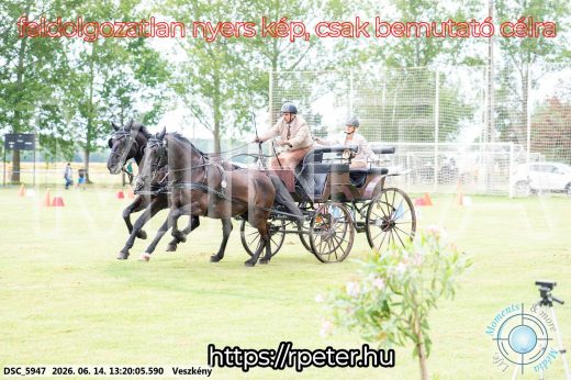 Mintakép 20260614-585